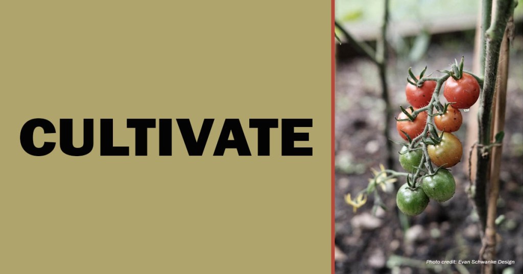 Cultivate