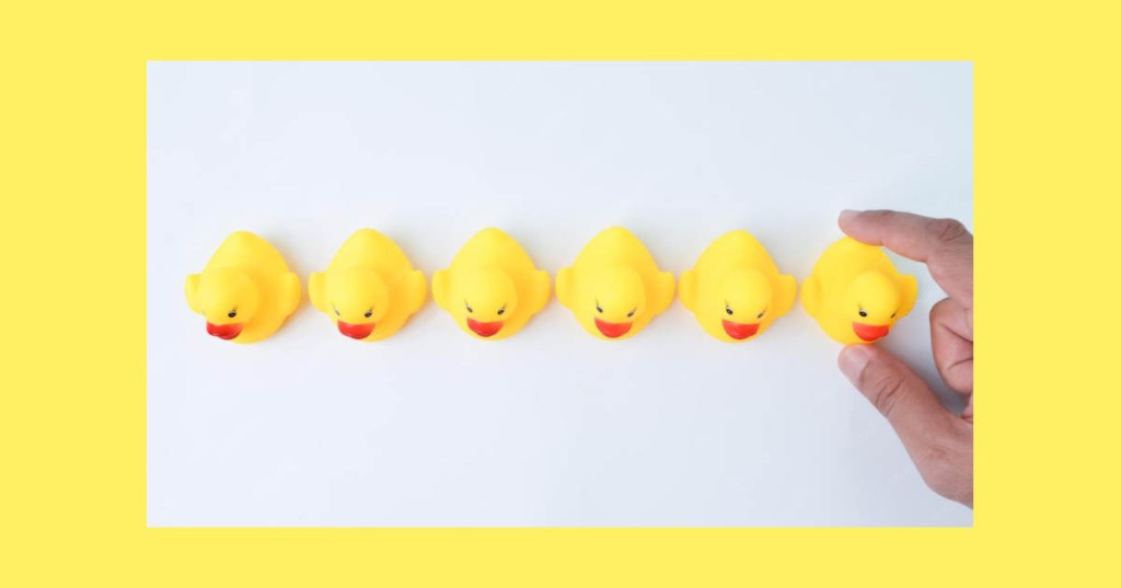 Rubber ducks in a row being placed by a human hand